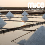 The Art of Harvesting Sea Salt: Ancient Techniques in the Modern World