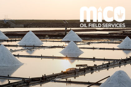 The Art of Harvesting Sea Salt: Ancient Techniques in the Modern World