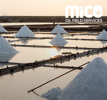 The Art of Harvesting Sea Salt: Ancient Techniques in the Modern World