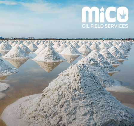 The Art of Harvesting Sea Salt: Ancient Techniques in the Modern World