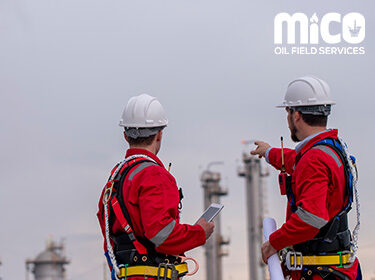 HSE Excellence: Prioritizing Health, Safety, and Environmental Standards in Oil and Gas